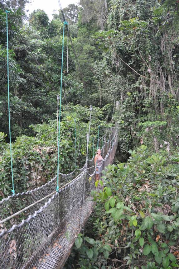 Caminhando sobre as árvores, a quase 30 metros de altura, na reserva de Iwokrama, na Guiana